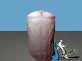 Nin_Rig-MultiDisplacmentTest-Cypher Nin_Rig-MultiDisplacmentTest-Cypher
