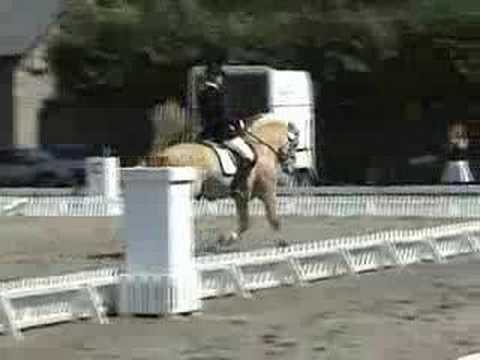 Denmark's 65th Jubilee - Dressage - ...