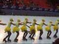 Gala de Campions 2007 .Patinatge Artístic