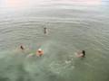 videos de Wheelmen Bridge Jumping Martha's Vineyard 2008