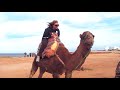 Itchy Camel Throws American Tourist