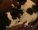 Mamas Milchbar / Mama\ Mamas Milchbar / Mama\