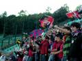 videos de siena bologna 1-1
