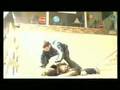 Police Defense Tactics (Techniques of Police)