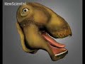 Watch some cool animal robots, see the head of a bizarre dinosaur that had over 500 teeth and find out why some cichlid fish are into oral sex.