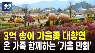 3억 송이 가을꽃 대향연