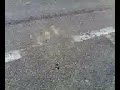 nunca habia visto un quad a 167km/h en 5� lomejor es cuando le problamos en 6� llego a los !!!! 202 km/h !!!!