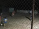 huetamo, futbol rapido