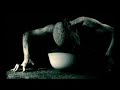 Mechanical Moth - Torment