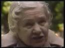 ZEGOTA saved 50000 Jews from Holocaust 2/3