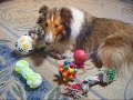 Shelby and her toys