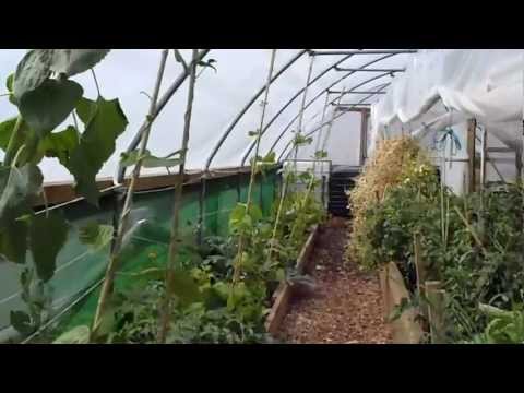 polytunnels - A tour of the incredible edible growing ltd site in Todmorden part 2, inside the polytunnels.