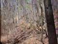 Single track riding with a helmet cam