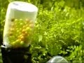 woodsball airsoft woodsball airsoft