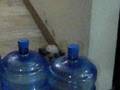 Trishie Trapped By Mineral Water
