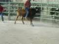 videos de La Wicha de xochi vs el alacran