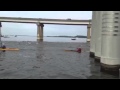 Great Chesapeake bay swim