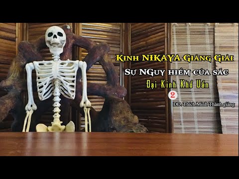 Kinh NIKAYA Giảng Giải - Sự Nguy Hiểm Của Sắc - Đại kinh Khổ Uẩn 2