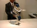 HOAP-1 Robot on display