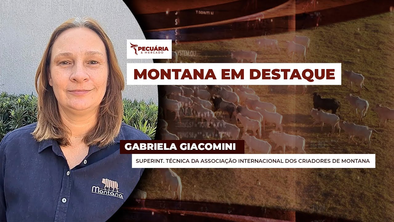 Composto genético bovino desenvolvido no Brasil visa aprimorar a produtividade, a fertilidade...