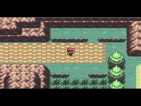 how to play pokemon t g