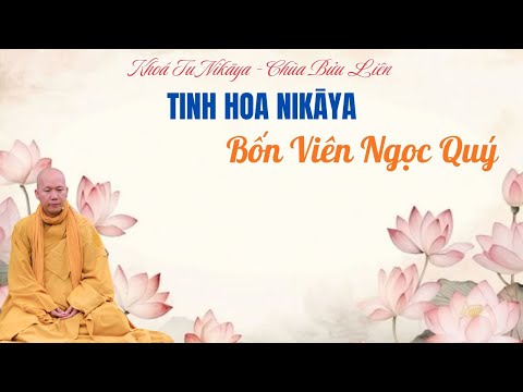 Tinh Hoa NIKAYA - 4 Viên Ngọc Quý