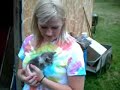 Jessica and Her Kittens!