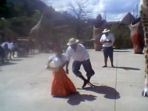 zoofiesta