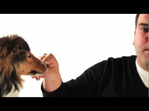See video