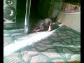First steps