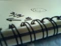 Dessiner mr turtlle en 5 le�on