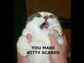 Crazy catz!