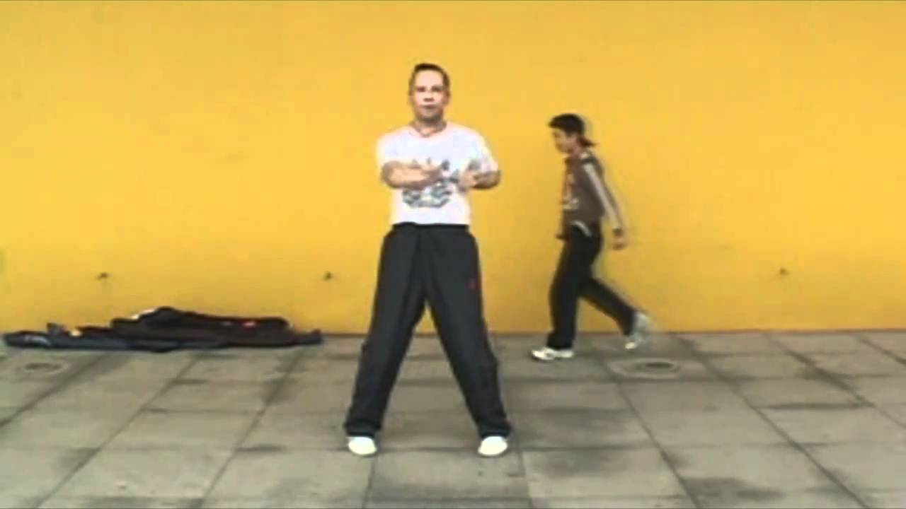 Wing Chun Sil lum Tao