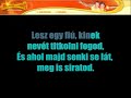 Magyar KARAOKE - Mc Haver - a füredi annabálon
