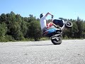 Stunting by Garpen and Dalbjer
