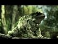 Crysis 3 - CryEngine3 Tech Trailer