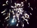 bahjawa crew - fuochi artificiali - roverbella - mantova