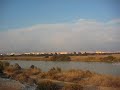 Guadalmar, M�laga. Desembocadura Guadalhorce. Paraje Natural