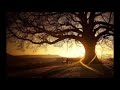 [DUBSTEP] Bruno Mars - When I Was Your Man (Dresm Remix) [Free Download]