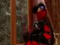 elmo emo cosquillas español
