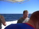 Brisbane`s chefs partying on the boat Brisbane`s chefs partying on the boat