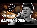 Сектор Газа - Ядрена вошь (аккорды) Уроки гитары - Играй, как Бенедикт! Урок №22