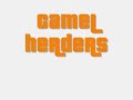 Camel Herders