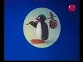 Introduccion Pingu