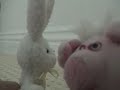 Easter Pig Easter Pig