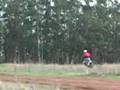 Wheelie Honda CR 250