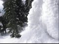 Big White Tree Run