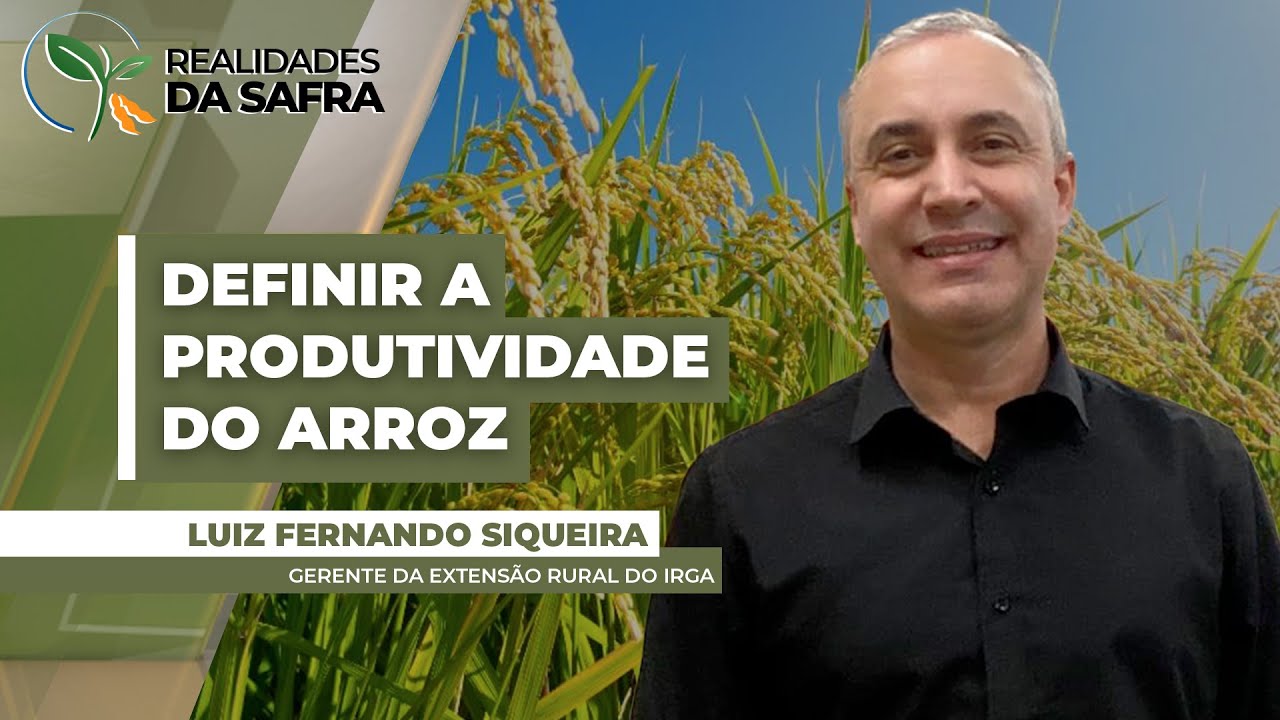 Janeiro e fevereiro vão definir produtividade do arroz no RS