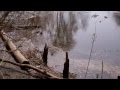 Pennington Park 2.mp4