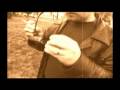 Vadkelet